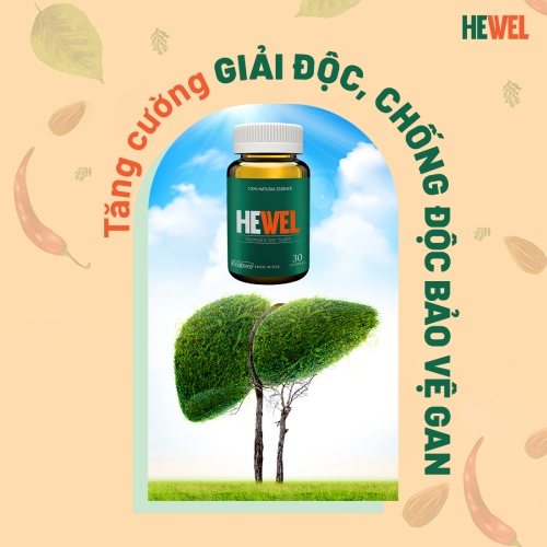 hewel có chữa được ung thư gan không