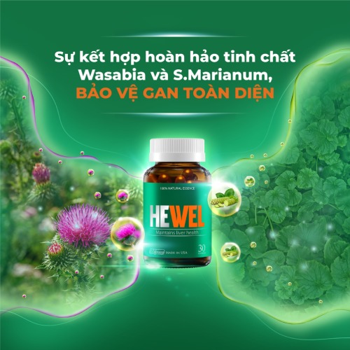 hewel bảo vệ gan