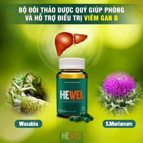 hewel cải thiện viêm gan b