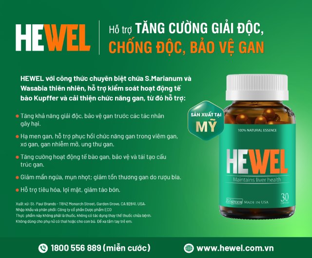 hewwel-dsk