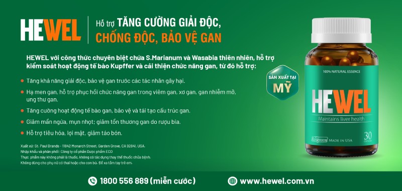 hewwel-dsk