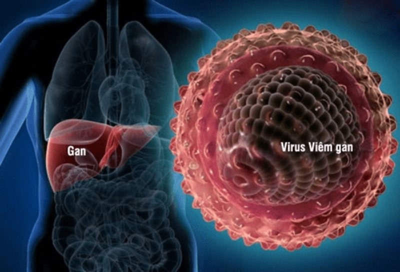 viêm gan virus gây bệnh
