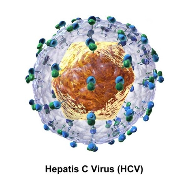 bệnh viêm gan virus c
