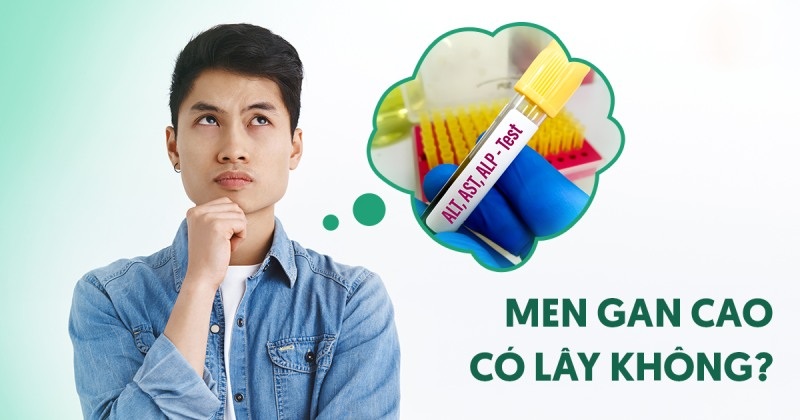 Men gan cao có lây không? Lây qua đường nào phổ biến hiện nay?