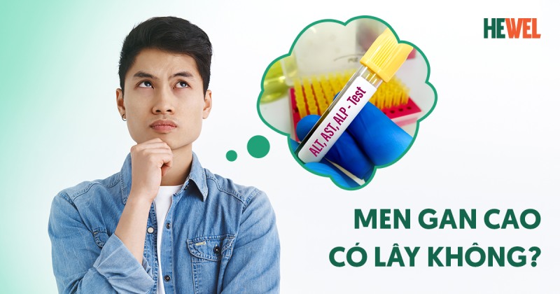 men gan cao có lây không