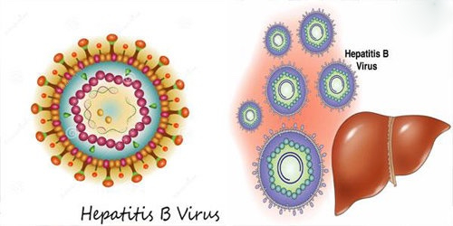 nguyên nhân gây viêm gan b