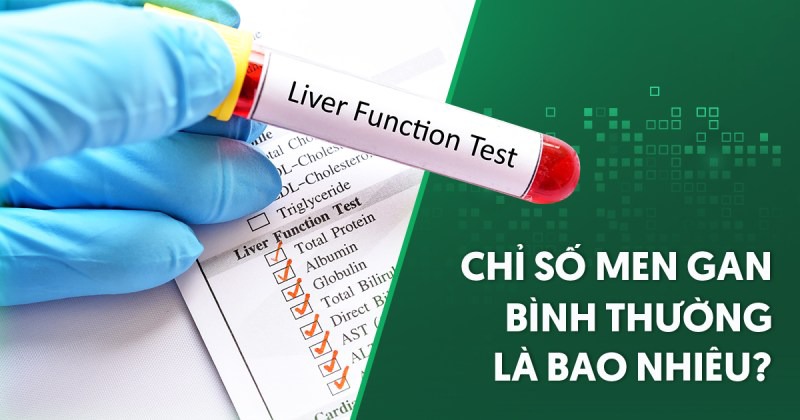 Chỉ số men gan bình thường là bao nhiêu và cách chẩn đoán?