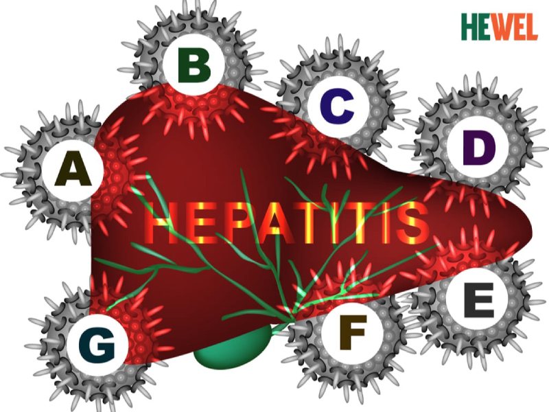 đường lây của bệnh gan