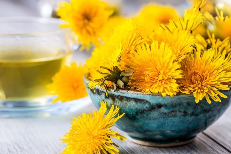 hoa thảo dược giúp mát gan