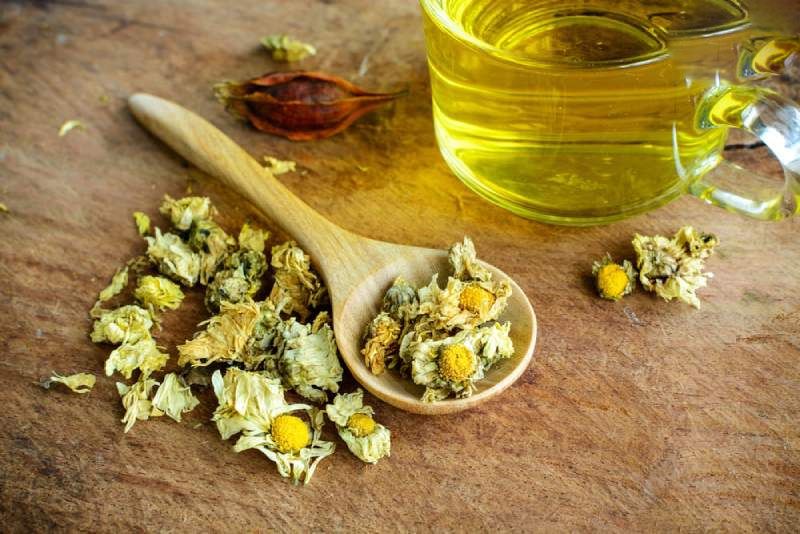 trà hoa cúc giúp mát gan