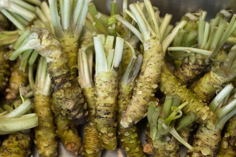 Bệnh xơ gan kiêng ăn gì và nên ăn gì?