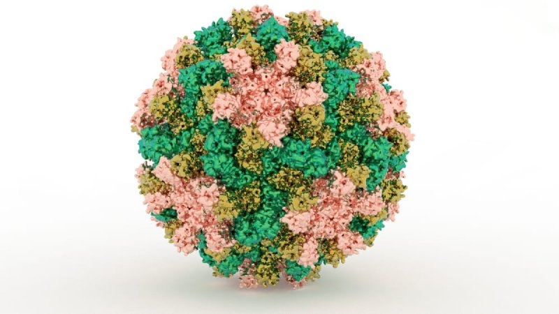 Đừng ngồi yên đợi dấu hiệu viêm gan B xuất hiện