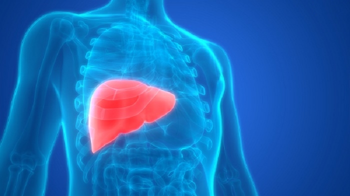 bệnh lý ung thư gan