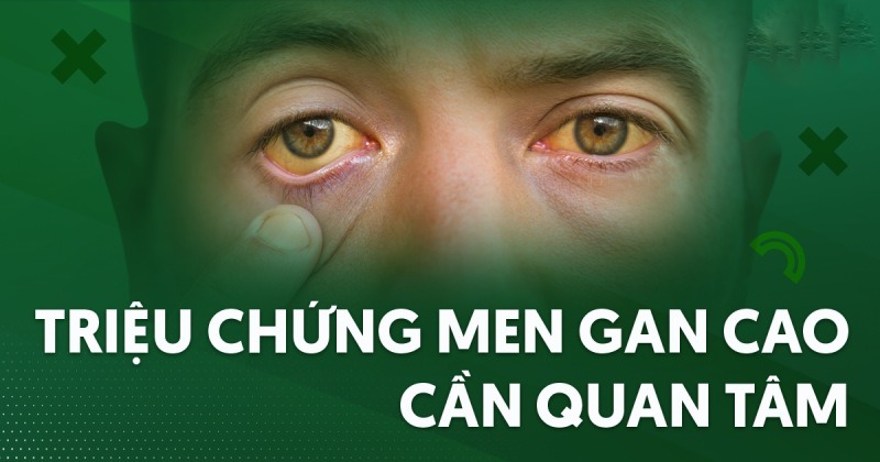 triệu chứng men gan cao