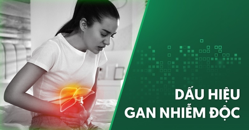 6 dấu hiệu gan nhiễm độc dễ nhận biết: Nguyên nhân và điều trị