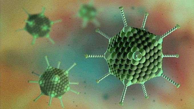 mô phỏng adenovirus