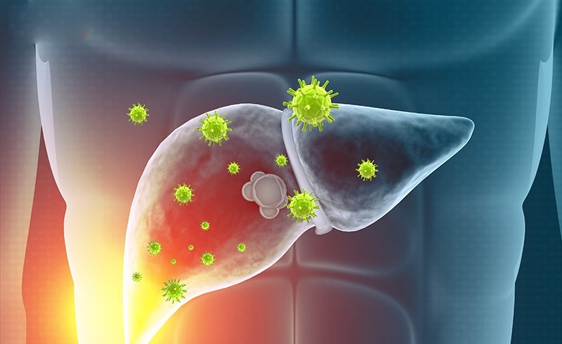virus viêm gan siêu vi b