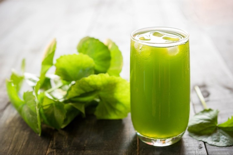 Bật mí sự thật – Nóng trong người nên uống gì để làm mát cơ thể?