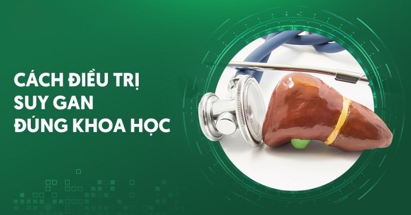 4 cách điều trị suy gan phổ biến: Có chữa khỏi được không?