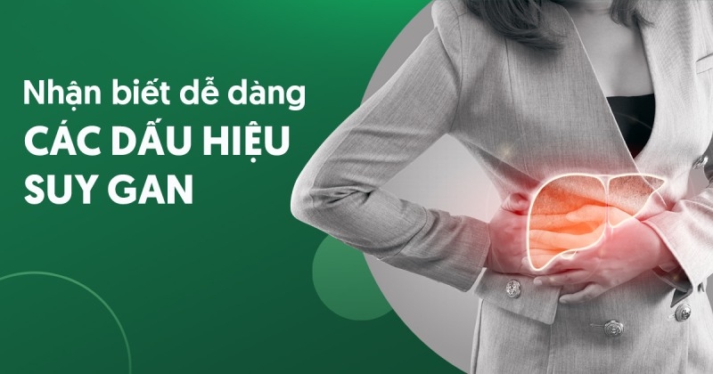 5 dấu hiệu suy gan cực kỳ dễ nhận biết mọi người cần lưu ý ngay