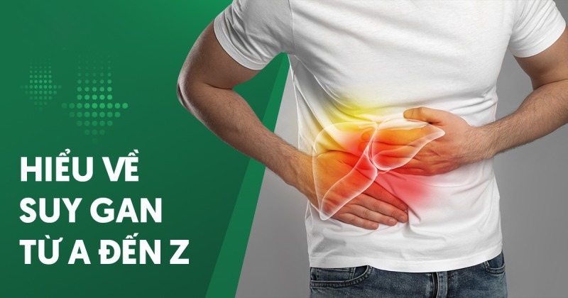 Suy gan là gì? Nguyên nhân và phương pháp chẩn đoán bệnh