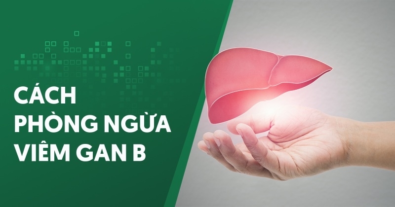 4 cách phòng ngừa viêm gan B hiệu quả và đúng khoa học