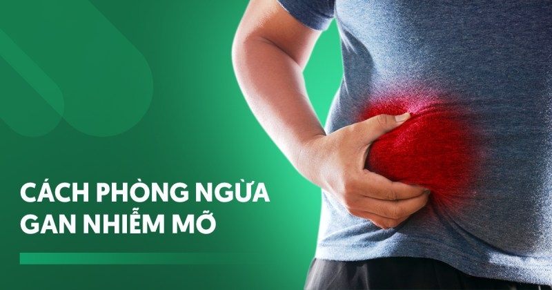 Top 8 cách phòng ngừa gan nhiễm mỡ, giúp ngăn bệnh tiến triển