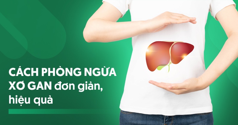 7 cách phòng bệnh xơ gan hiệu quả mà cực kỳ đơn giản hiện nay