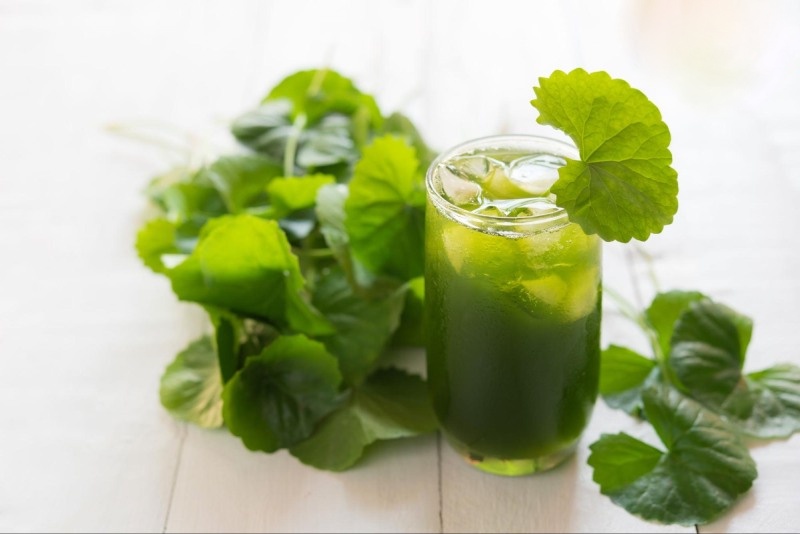 rau má giải độc gan