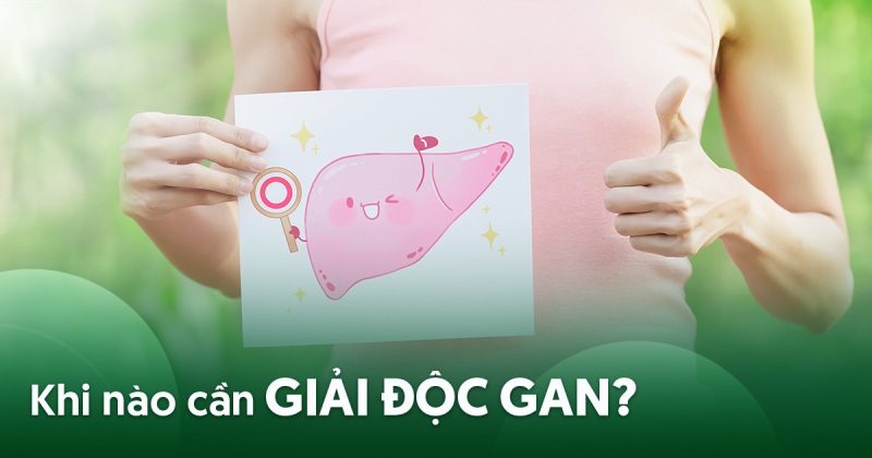 Khi nào cần giải độc gan và những ai cần phải tìm cách cứu mình?