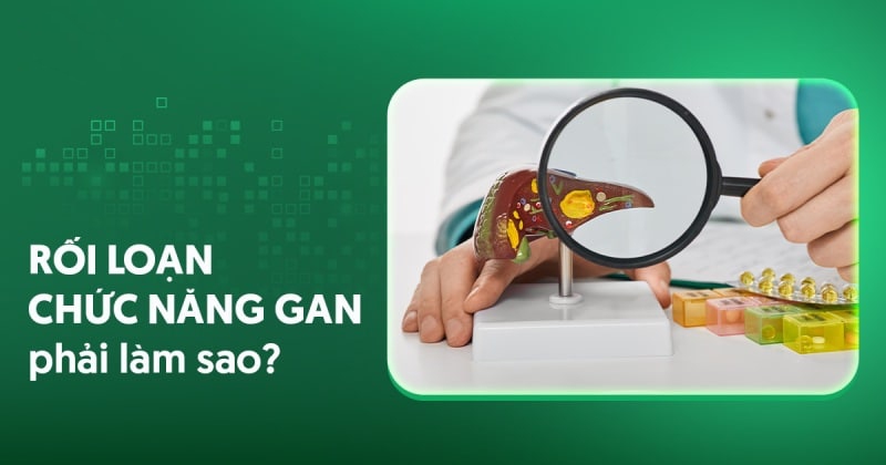 Rối loạn chức năng gan: Nguyên nhân, triệu chứng và phòng ngừa