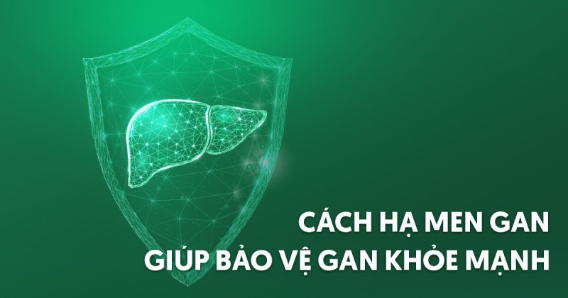11 cách hạ men gan nhanh không dùng thuốc tại nhà hiệu quả cao