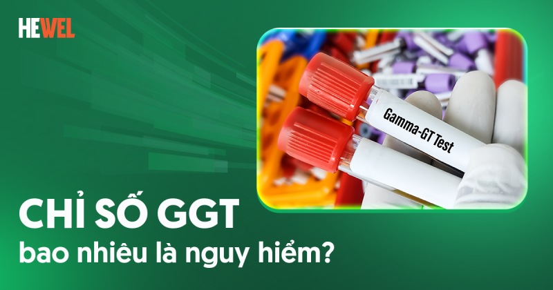Chỉ số GGT là gì? Tăng cao bao nhiêu là nguy hiểm cho gan?