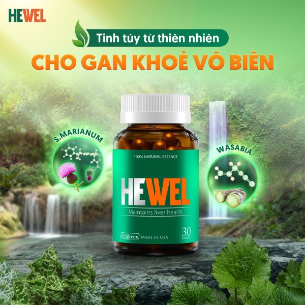 hewel cải thiện chỉ số men gan