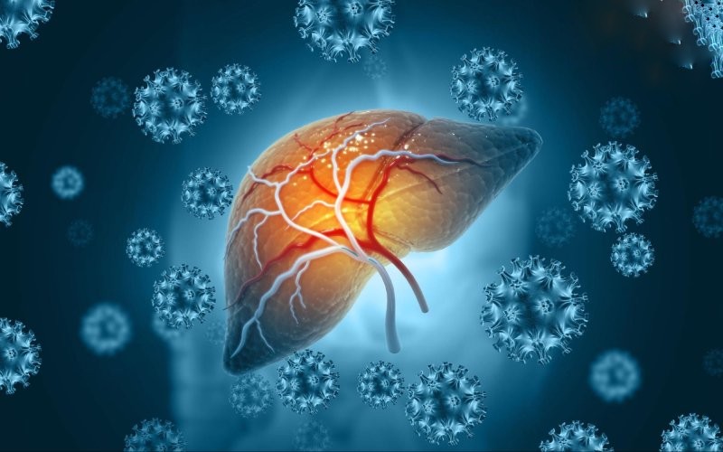 virus gây bệnh gan