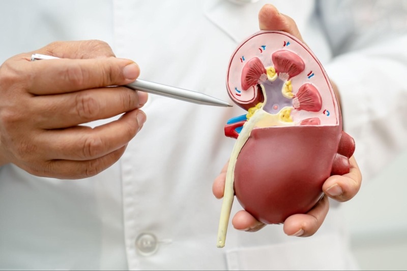 kiểm tra men gan thấp