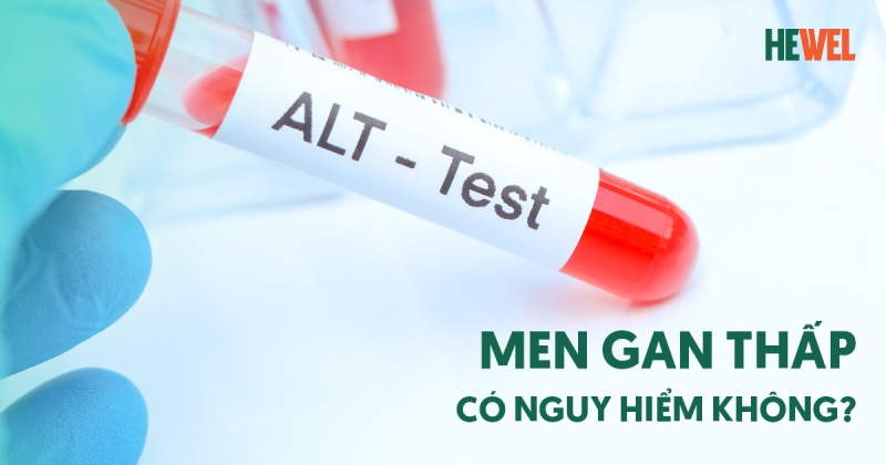 Men gan thấp: Nguyên nhân, dấu hiệu và cách phòng ngừa