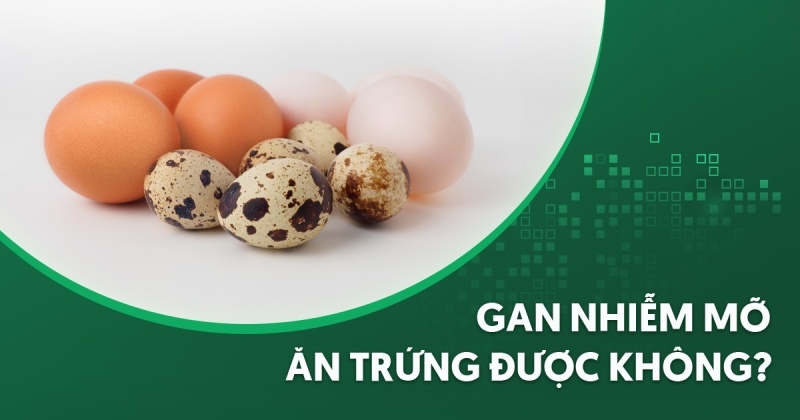 Gan nhiễm mỡ ăn trứng được không? [Chuyên gia giải đáp]