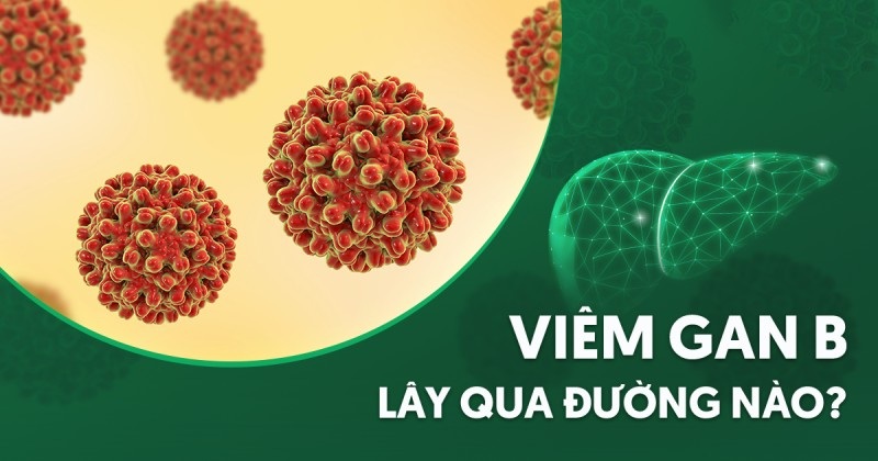 bệnh viêm gan b lây qua đường nào
