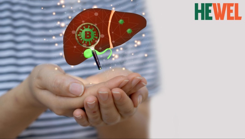 nhiễm virus viêm gan B