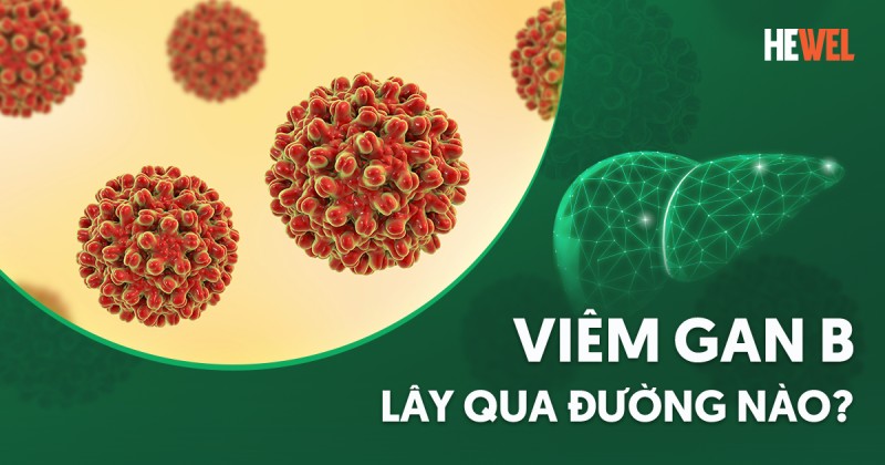 Viêm gan B lây qua đường nào? Cách phòng tránh lây nhiễm
