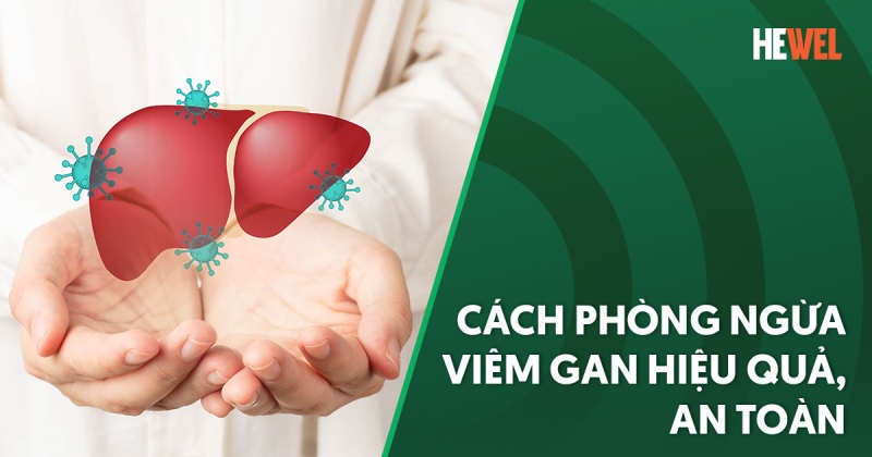 Cách phòng ngừa viêm gan hiệu quả, an toàn hiện nay