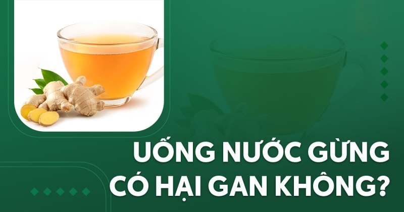 Uống nước gừng có hại gan không? Lưu ý cách dùng như thế nào?