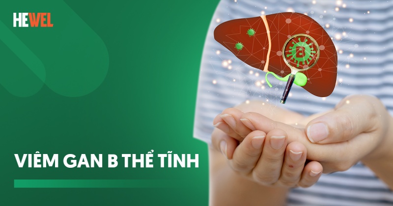 Viêm gan B thể tĩnh: Nguyên nhân, triệu chứng và cách phòng ngừa