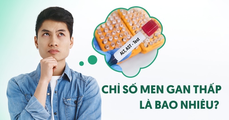 Chỉ số men gan thấp là bao nhiêu? Cách phòng ngừa hiệu quả