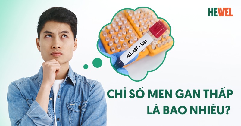 Chỉ số men gan thấp là bao nhiêu? Cách phòng ngừa hiệu quả