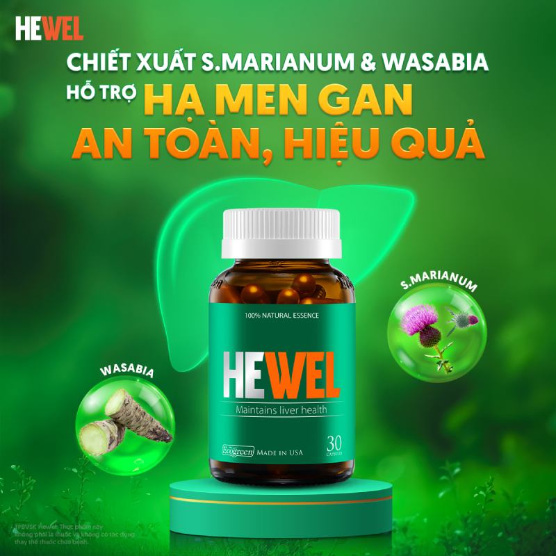 hewel giúp hạ men gan