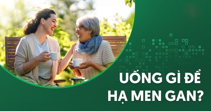 Uống gì để hạ men gan? 12 loại nước có thể sử dụng