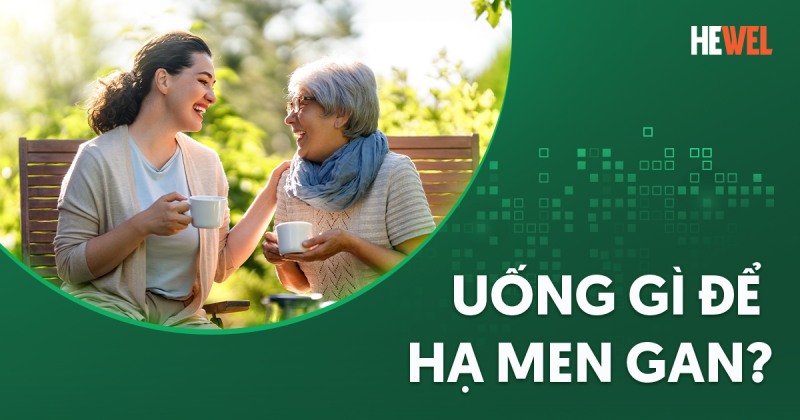 Uống gì để hạ men gan? 12 loại nước có thể sử dụng