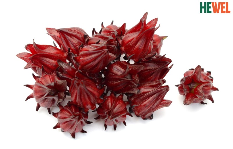 gan nhiễm mỡ uống lá cây gì